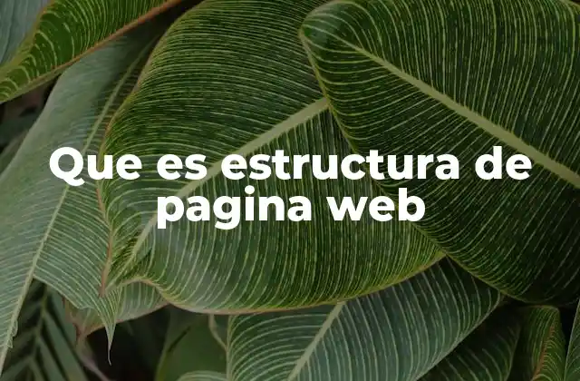 Que es Estructura de Pagina Web