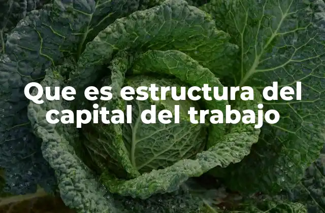 Que es Estructura Del Capital Del Trabajo