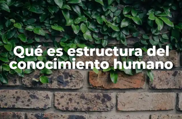 Qué es Estructura Del Conocimiento Humano