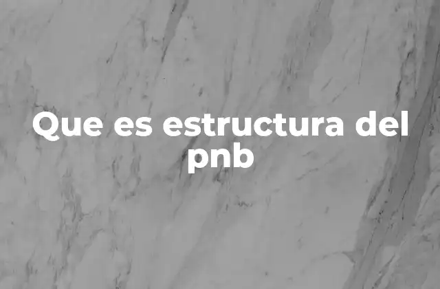 Que es Estructura Del Pnb