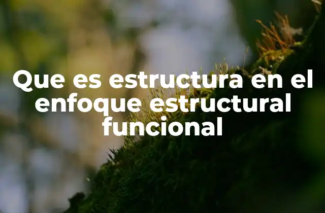 La importancia de la estructura en la comprensión del orden social