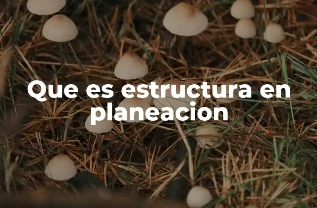 Que es Estructura en Planeacion 2 La importancia de tener una base clara en el desarrollo de proyectos