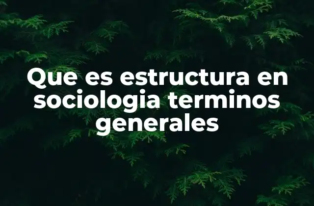 Que es Estructura en Sociologia Terminos Generales