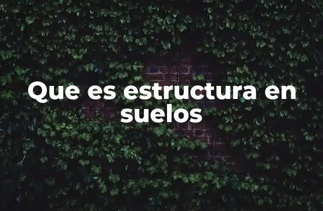 Que es Estructura en Suelos
