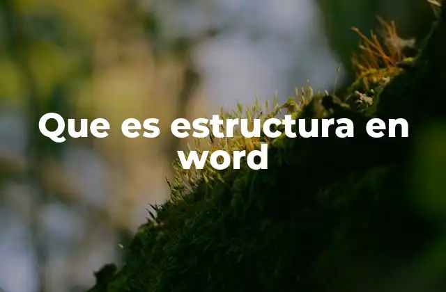 Que es Estructura en Word