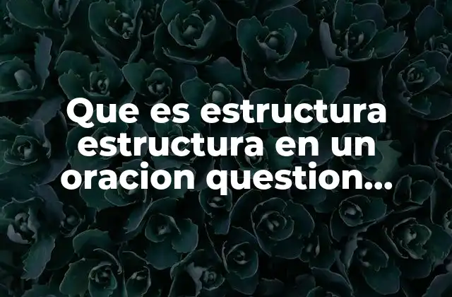 Que es Estructura Estructura en un Oracion Question Negatives