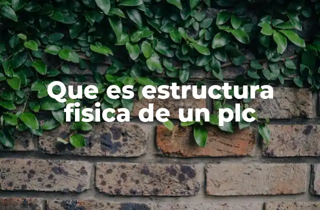 Que es Estructura Fisica de un Plc