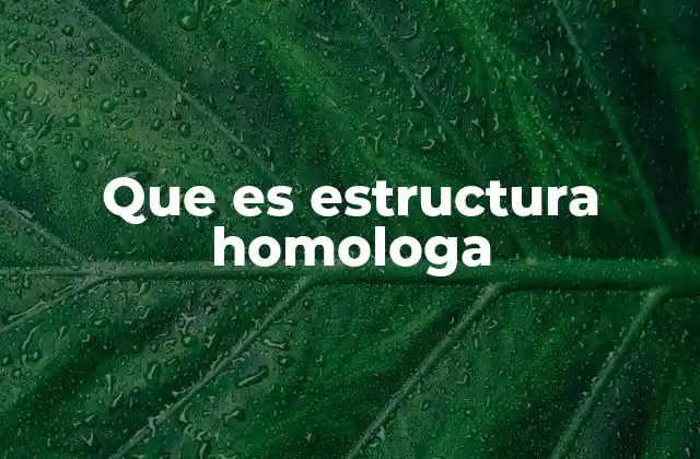 Que es Estructura Homologa