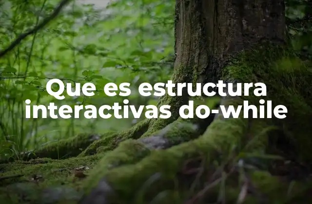 Que es Estructura Interactivas Do-while