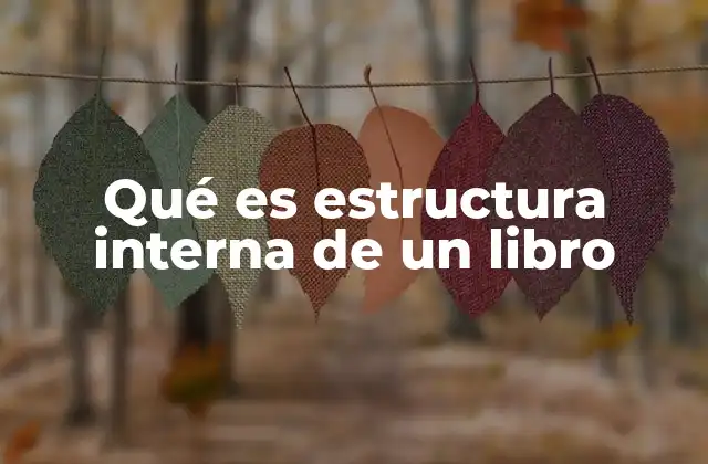 Qué es Estructura Interna de un Libro