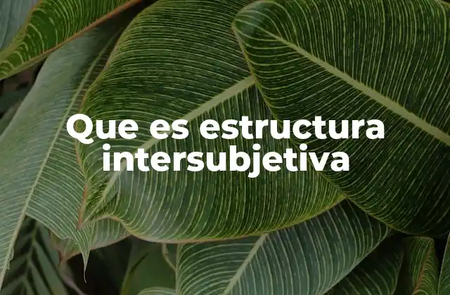 Cómo se forma la estructura intersubjetiva