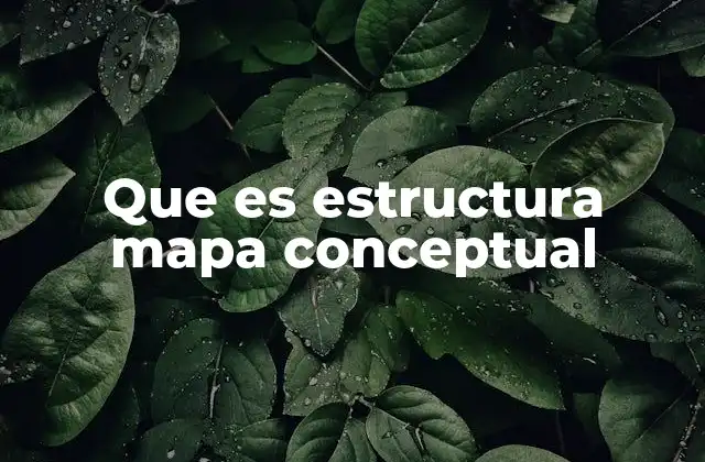 Que es Estructura Mapa Conceptual