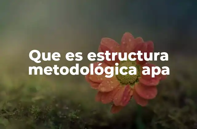 Que es Estructura Metodológica Apa