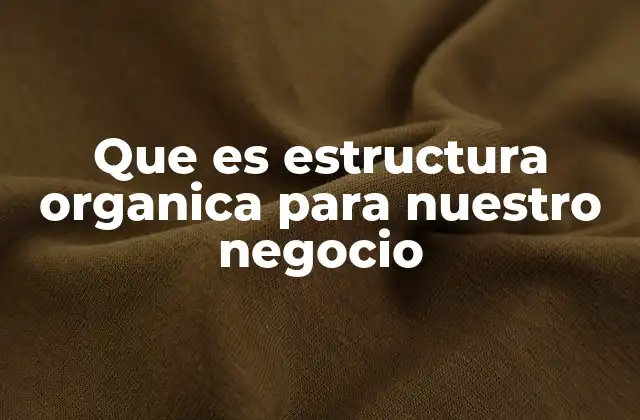 Que es Estructura Organica para Nuestro Negocio