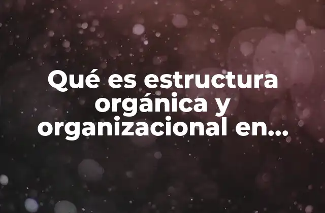 Qué es Estructura Orgánica y Organizacional en Auditoría Administrativa