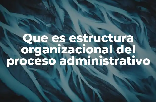 Que es Estructura Organizacional Del Proceso Administrativo