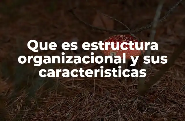 Que es Estructura Organizacional y Sus Caracteristicas
