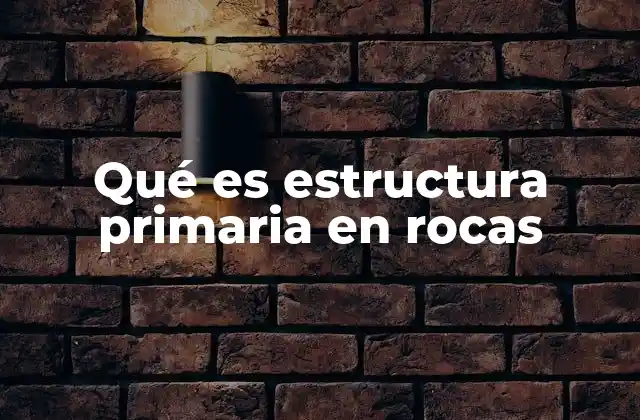 Características que definen la estructura primaria