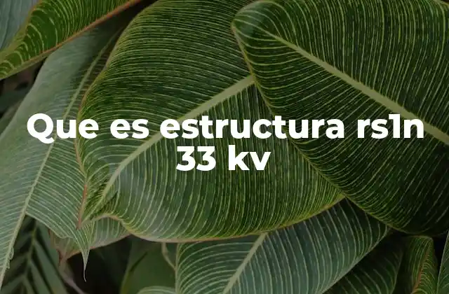 Que es Estructura Rs1n 33 Kv
