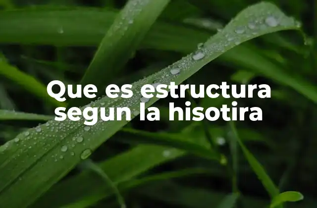 Que es Estructura Segun la Hisotira