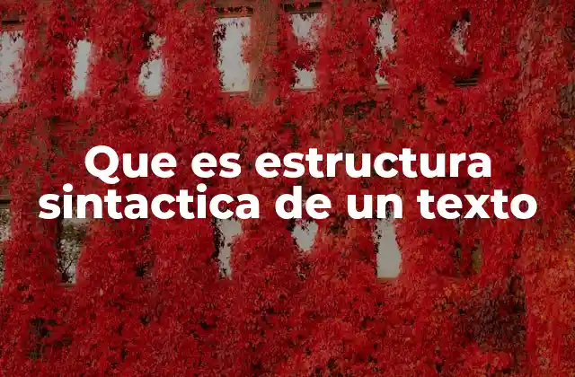 Que es Estructura Sintactica de un Texto