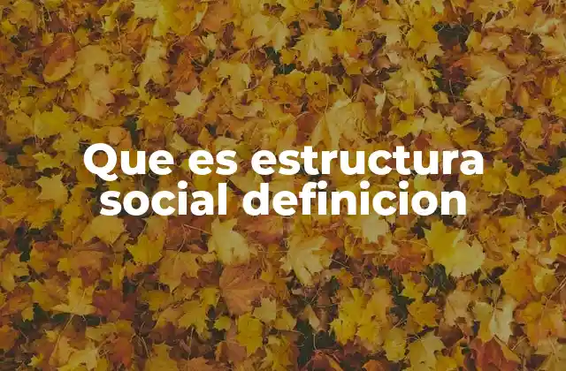 Que es Estructura Social Definicion