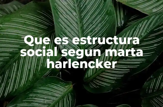 Que es Estructura Social Segun Marta Harlencker 2 La interacción entre individuos y la organización colectiva