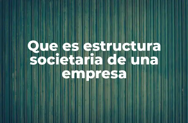 Que es Estructura Societaria de una Empresa