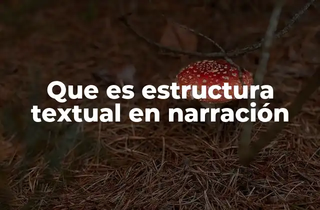 Que es Estructura Textual en Narración