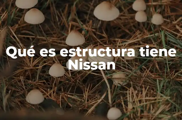 Qué es Estructura Tiene Nissan