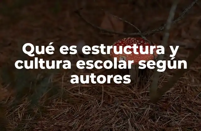 Qué es Estructura y Cultura Escolar según Autores