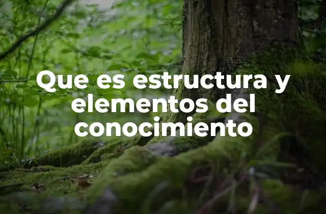 La base conceptual del conocimiento humano