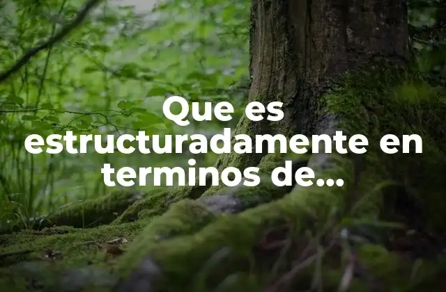 Que es Estructuradamente en Terminos de Contabilidad