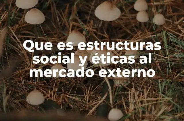 Que es Estructuras Social y Éticas Al Mercado Externo 2 La influencia cultural en el comportamiento ético al exportar