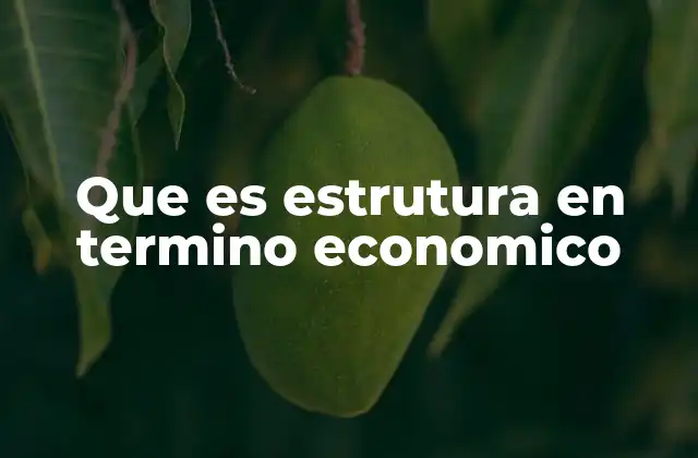 Que es Estrutura en Termino Economico