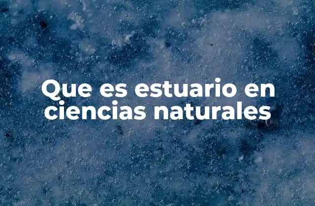 Que es Estuario en Ciencias Naturales