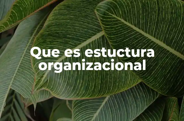 Que es Estuctura Organizacional