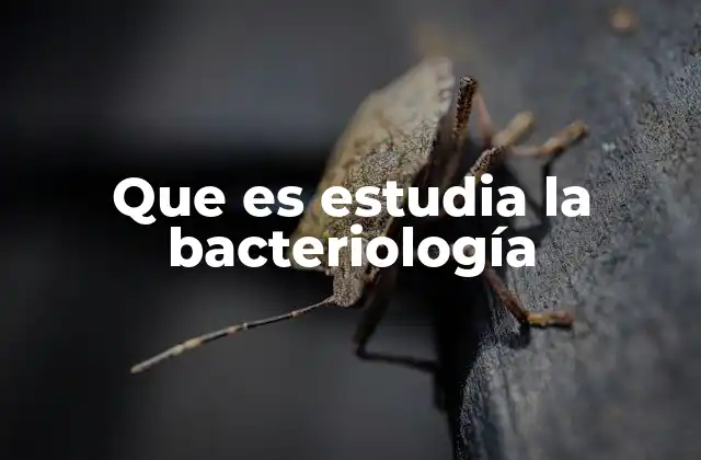 Que es Estudia la Bacteriología