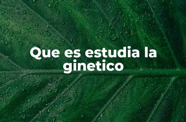 Que es Estudia la Ginetico