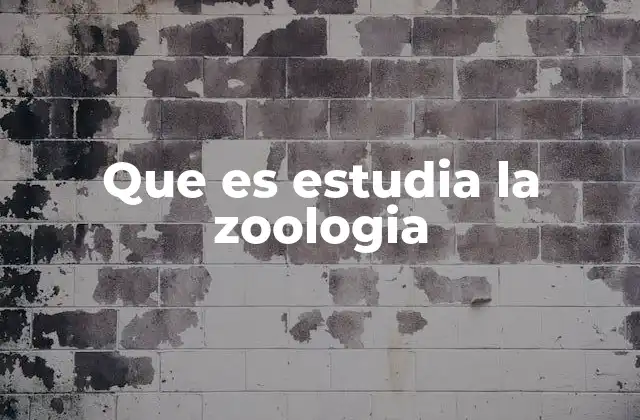 Que es Estudia la Zoologia