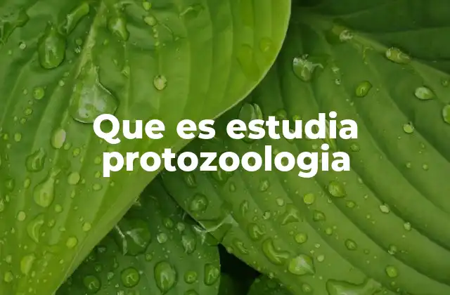 Que es Estudia Protozoologia