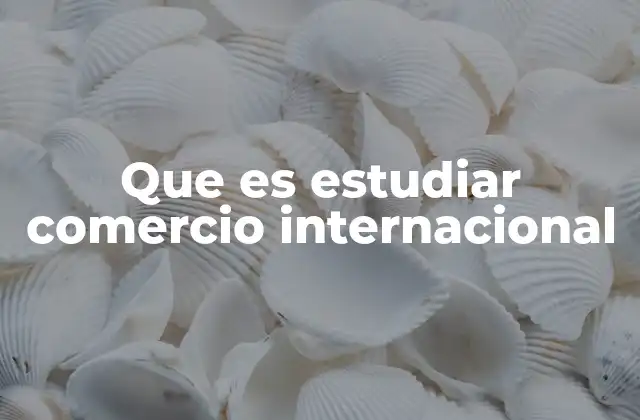 Que es Estudiar Comercio Internacional