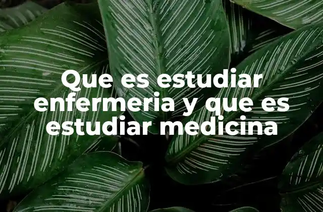 Que es Estudiar Enfermeria y que es Estudiar Medicina