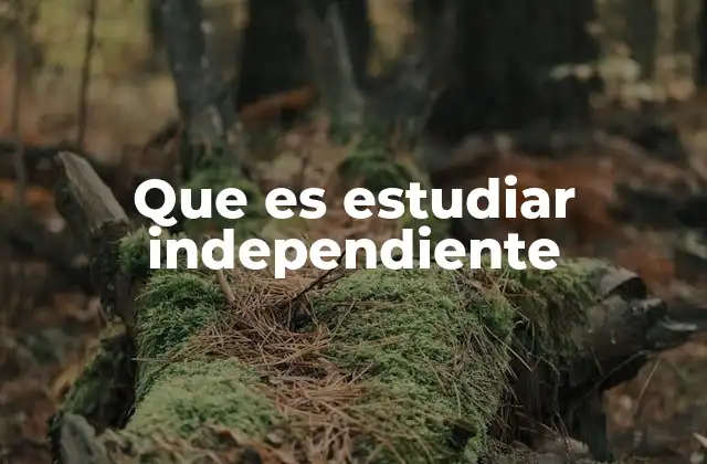 Que es Estudiar Independiente 2 Cómo el estudio independiente transforma el proceso de aprendizaje