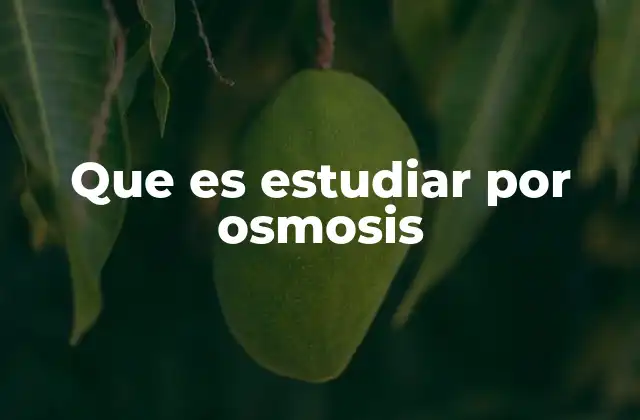 Que es Estudiar por Osmosis