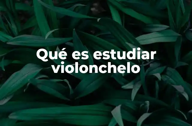 Qué es Estudiar Violonchelo