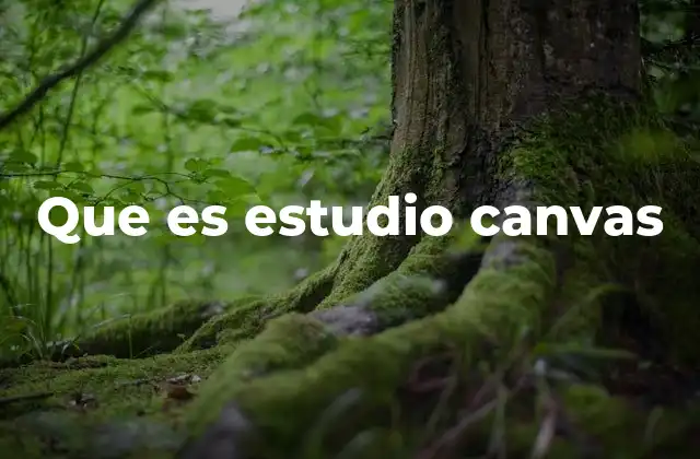 Que es Estudio Canvas