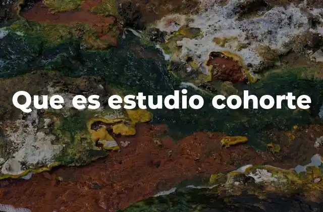 Que es Estudio Cohorte