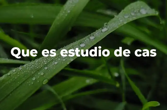 Que es Estudio de Cas