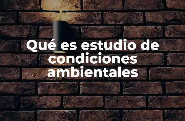 Qué es Estudio de Condiciones Ambientales